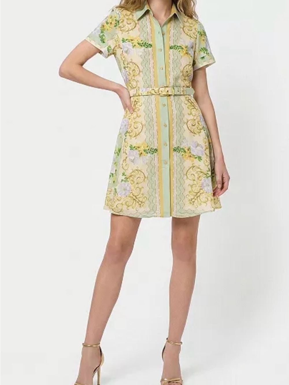 TAYLOR Petite Button-Front Belted Dress with Pockets